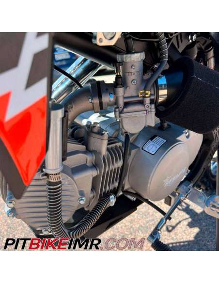 155 pit bike deals engine