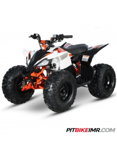 QUAD ATV 110 IMR 1+R