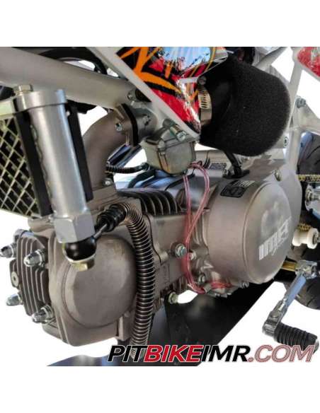 PITBIKE IMR CORSE 140 R GAMA EVOLUTION 2K24