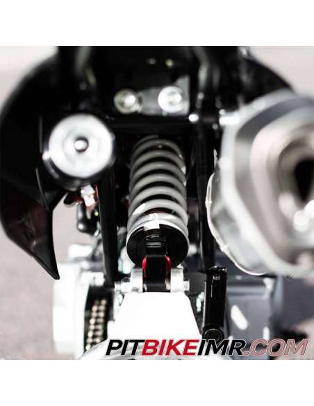 IMR Corse 110R Automatic Pitbike Model 2K25